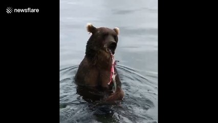 Rare close-up footage shows bear feasting on fish in Russia's Far East