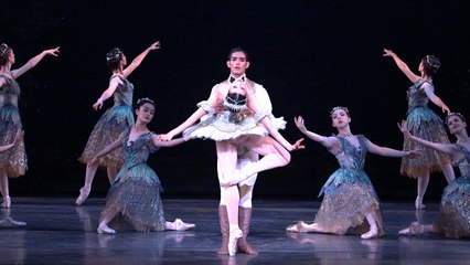 Perfecting -The Sleeping Beauty-