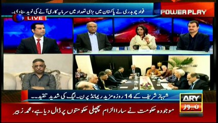 PML-N govt left behind big deficit: PPP's Nafisa Shah