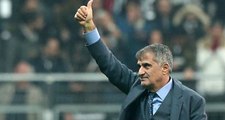 Mircea Lucescu ile Yollar Ayrılırsa, İlk Aday Beşiktaş Teknik Direktörü Şenol Güneş