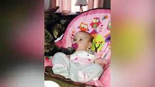 Baby And Cat Fun And Fails