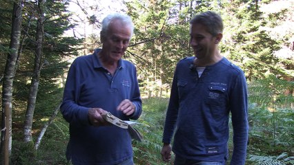 On ramasse et on cuisine les champignons avec Jacques Marcon