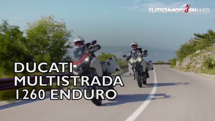 Ducati Multistrada 1260 Enduro