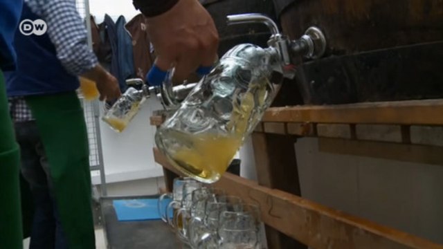 Mudanças climáticas ameaçam produção de cerveja