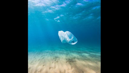 Un aficionado filma en Bali un océano lleno de plástico