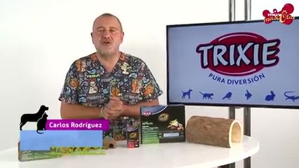 Descargar video: Elementos básicos de un terrario