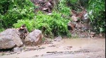 Cuatro muertos por lluvias en El Salvador. Estos son los estragos provocados por el temporal que ha afectado a los salvadoreños. Los detalles en el #NoticieroLP