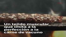 ¿Cómo serán las hamburguesas del futuro?