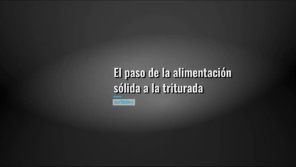 Paso de la dieta triturada a sólida