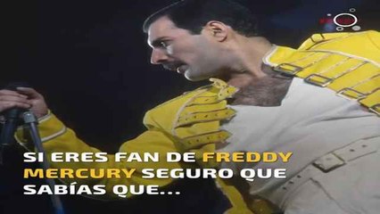 Download Video: Curiosidades sobre Freddie Mercury