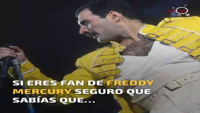 Curiosidades sobre Freddie Mercury