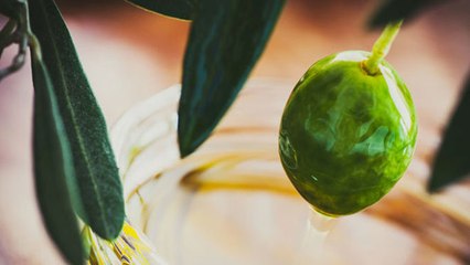 Aceite de oliva virgen extra: producción y aporte calórico