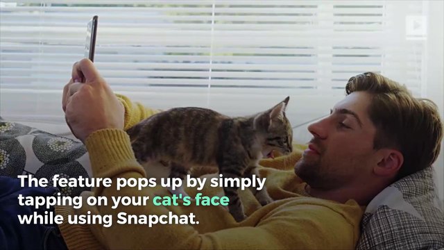 Snapchat Now Offers Filters for Your Cat