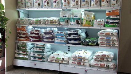 Welcome to Bayou South Animal Hospital