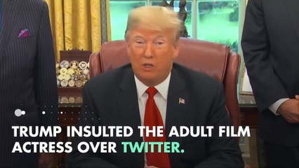 President Trump Calls Stormy Daniels 'Horseface'