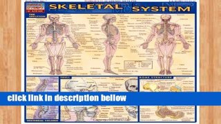 Popular Skeletal System (Quickstudy: Academic)