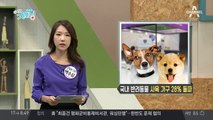 반려인들을 위한 축제 '2018 슈퍼 펫 쇼'