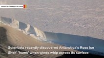 Listen To Eerie 'Song' Generated By Antarctic Ice Shelf