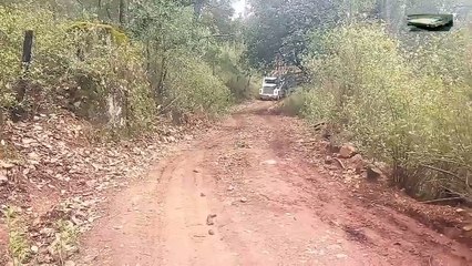 Best Logging Truck Drivers Skill With Dangerous Extreme Fields  (Part 27)(1)