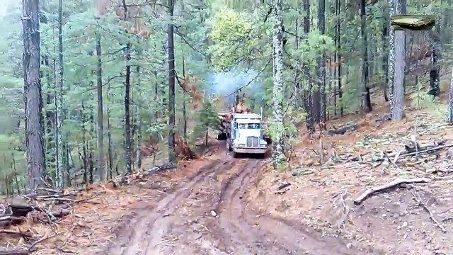 Best Logging Truck Drivers Skill With Dangerous Extreme Fields (Part 26)(1)