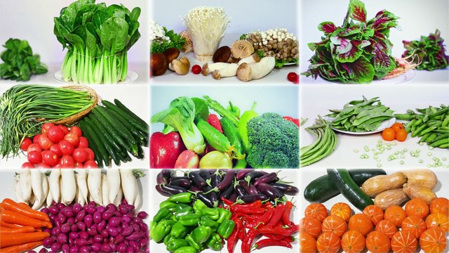 Восточная Молния | История Бога «Бог повелевает человечеством и всем сущим и поддерживает их»