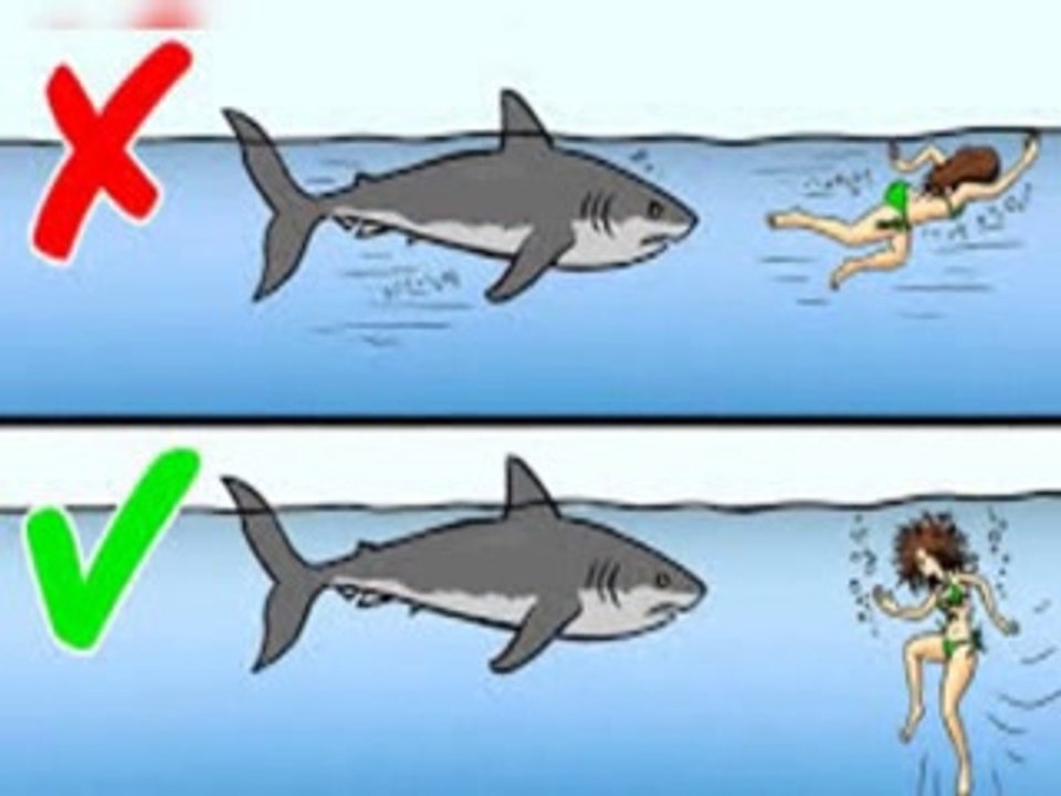13 Tips on How to Survive Wild Animal Attacks