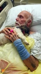 Sweet Dog Gives Snuggles to Owner's Dad in Hospital