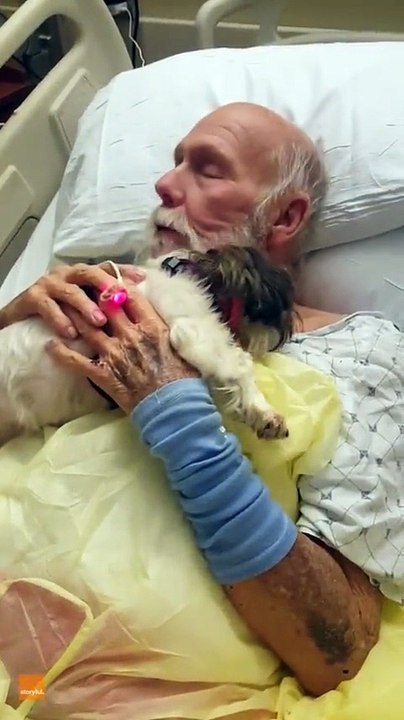 Sweet Dog Gives Snuggles to Owner's Dad in Hosp...