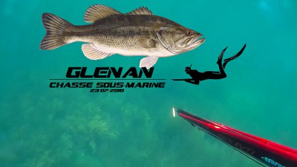 23/07/2018 Chasse sous-marine aux Glénan (bis)