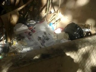 Take the trash out, Snake