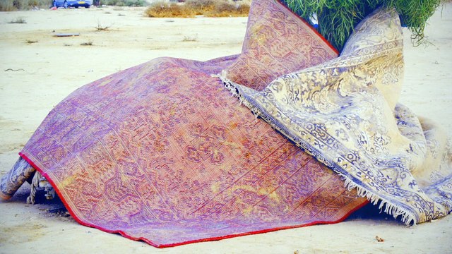 Ron Amir - Quelque part dans le désert | Musée d'Art moderne