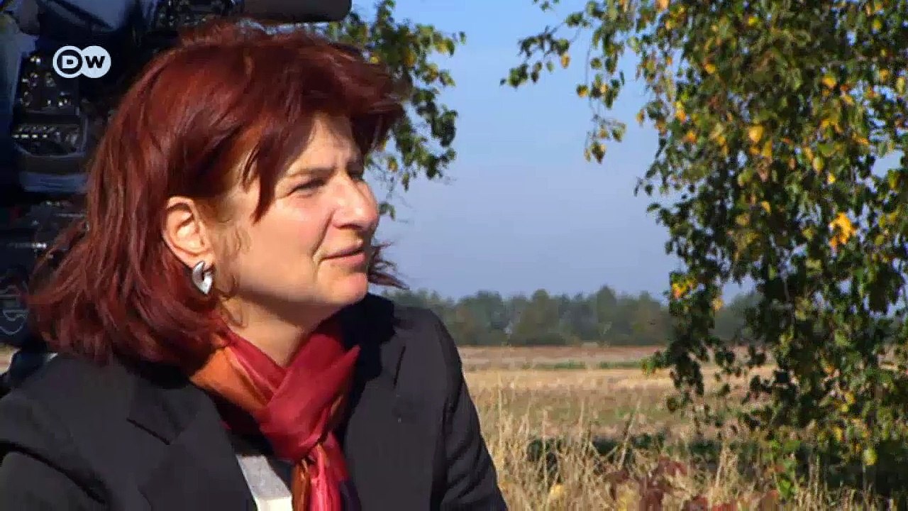 TACHELES: Windkraft versus Fledermäuse | DW Deutsch