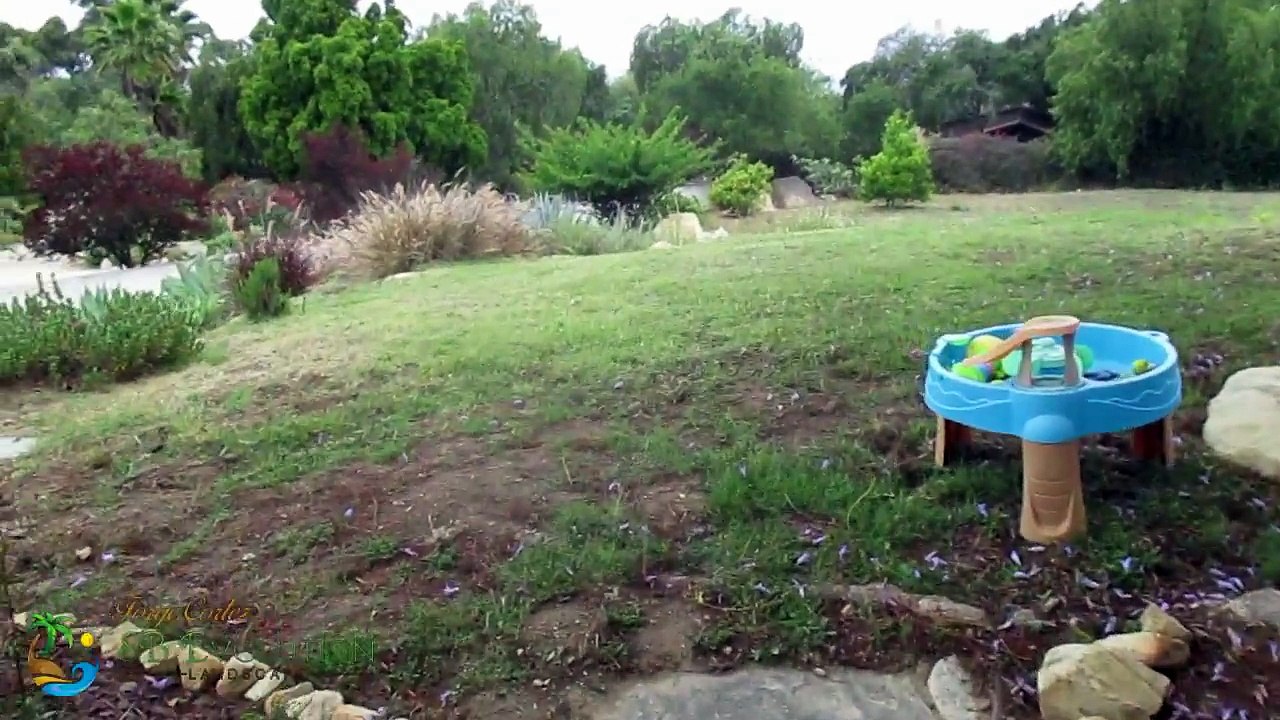 Lawn Mowing and Garden Services Santa Barbara-SB Evolution Landscape