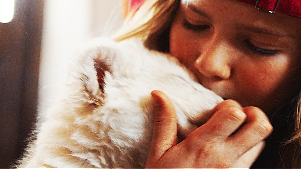 Mia und der Weiße Löwe - Trailer (Deutsch) HD