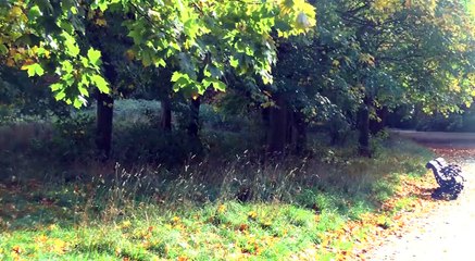 GOODLINES: October 16th 2018