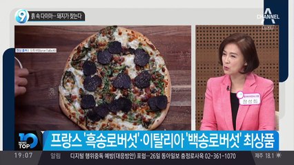 흙 속 다이아…돼지가 찾는다