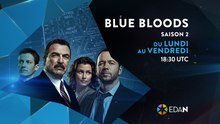 BLUE BLOODS