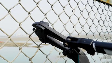 서해안 철책 제거...수도권 해양 관광산업 활성화 / YTN