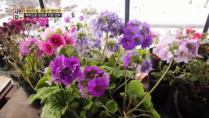 서울의 디자이너였던 어머니&의대를 포기한 아들, 이유는 무엇일까?