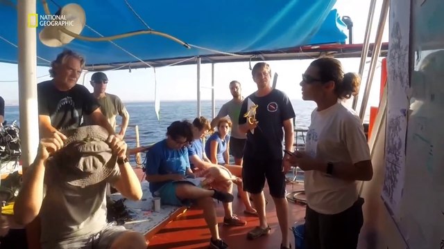 Sular Çekilince Akdeniz'in Kayıp Diyarları (Belgesel)