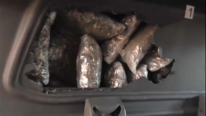 Száz kilós marihuánafogás a szerb határnál