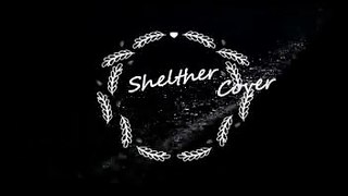 Porter Robinson & Madeon - Shelter(Cover)