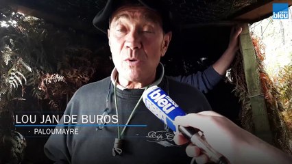 Chasse à la palombe : savoir manier le traître