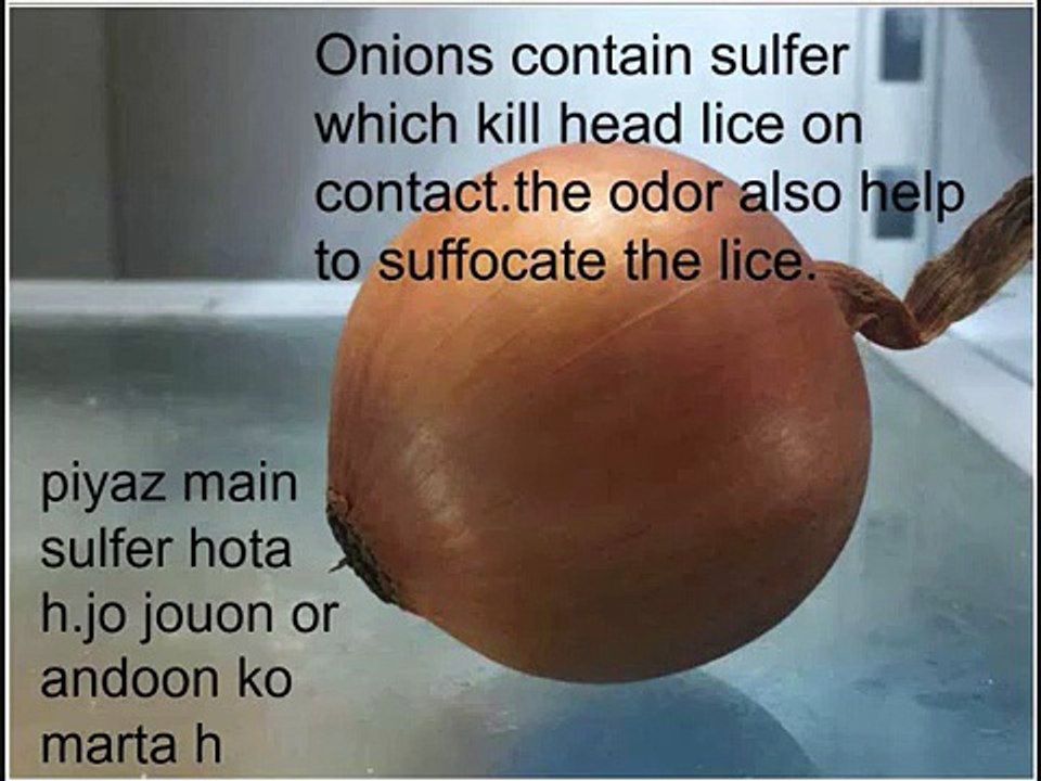 Junoon Ka ilaj/cure of lice