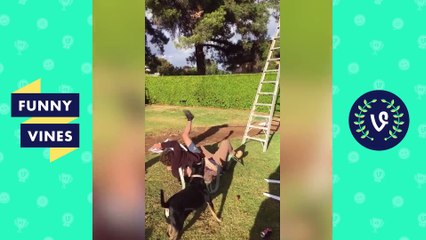 Funny BAD FRIENDS Compilation 2018 - Worst Friends |