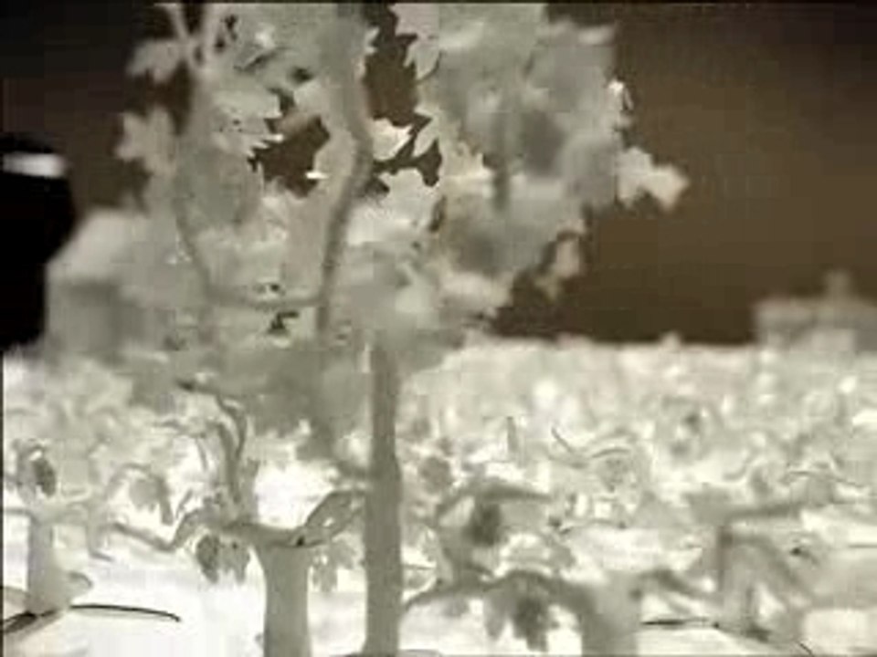 Beringer Vineyards