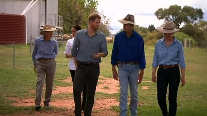 Prince Harry and Meghan feed cows at drought-hit Aussie farm