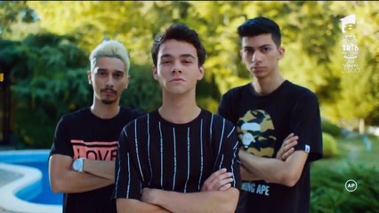 Fructul oprit 17 octombrie 2018 p1