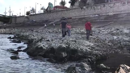 Tuna Nehri'nin Su Seviyesi Rekor Düşüklükte - Budapeşte