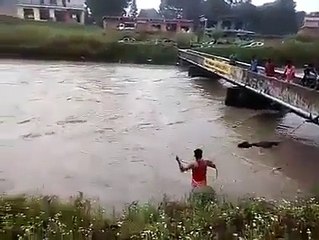 ஆற்றில் .. இழுத்து செல்லும் பசுவை காப்பாற்றும் இளைஞர்..! வைரல் வீடியோ - Trendingvideos